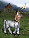 centaur-bojowy
