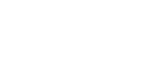 Drone Swarm Logo